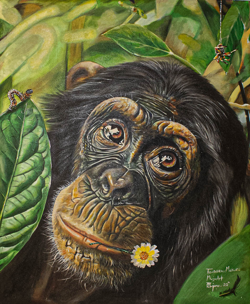 The Chimpanzee's Reverie