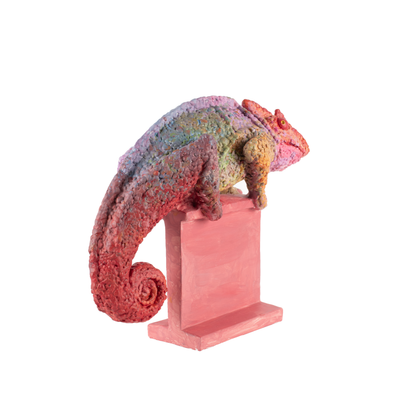 chameleon