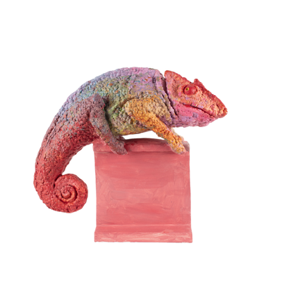 chameleon
