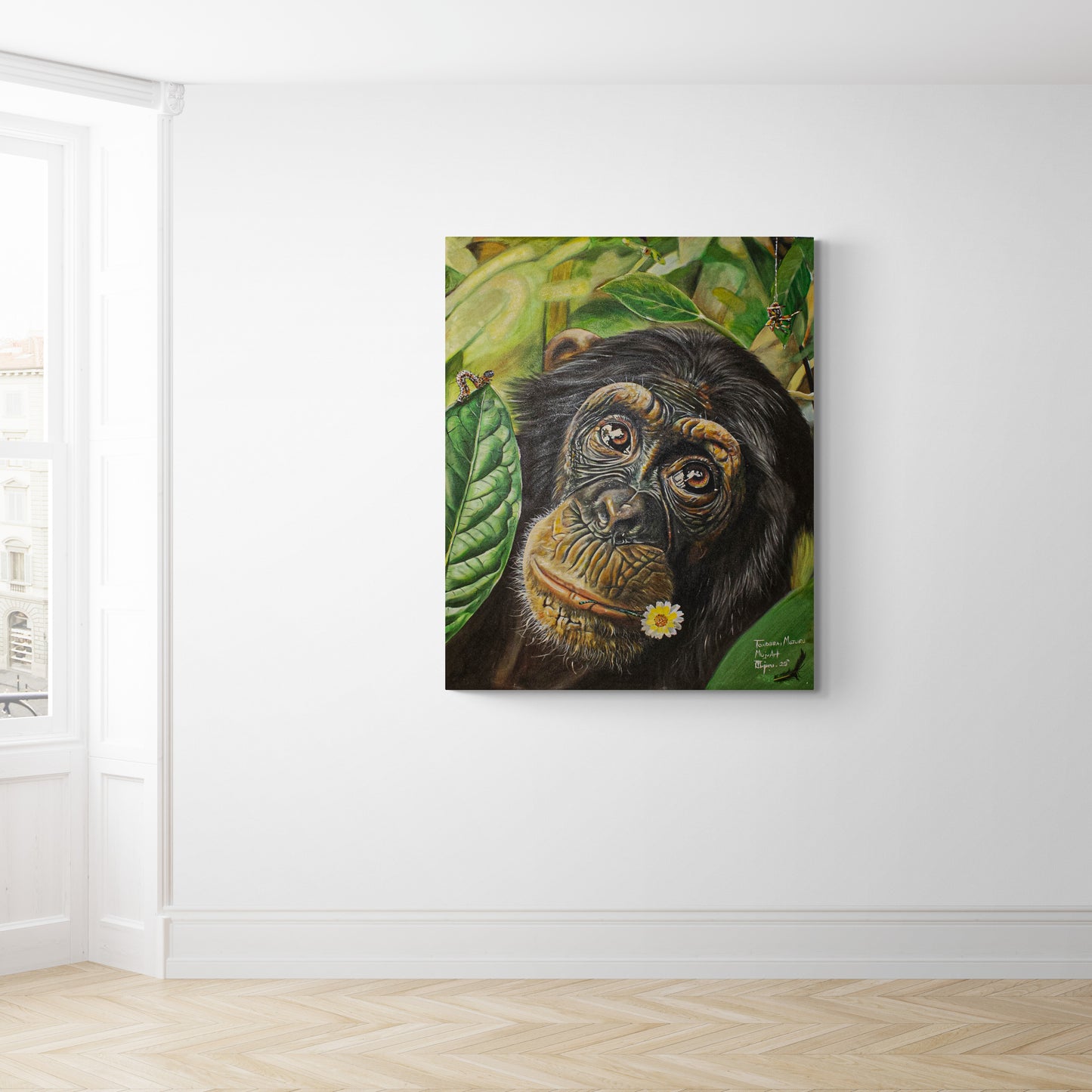 The Chimpanzee's Reverie